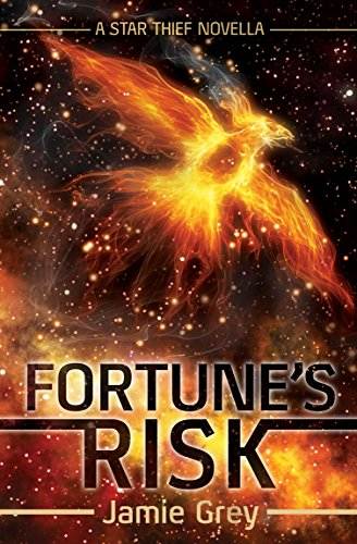 Fortune's Risk: A Star Thief Chronicles Novella