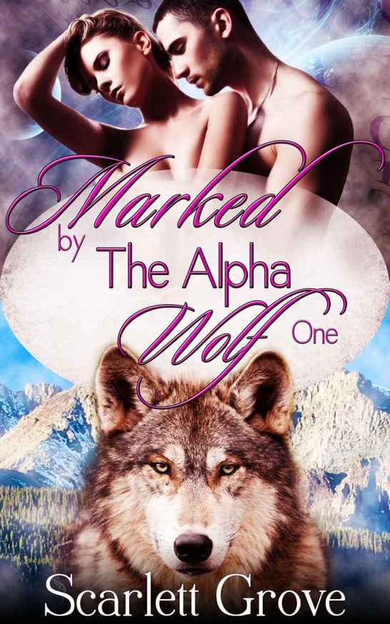 Marked by the Alpha Wolf, Part 1 (Braving Darkness #0.1)