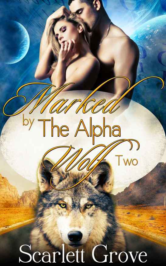 Marked By The Alpha Wolf 2