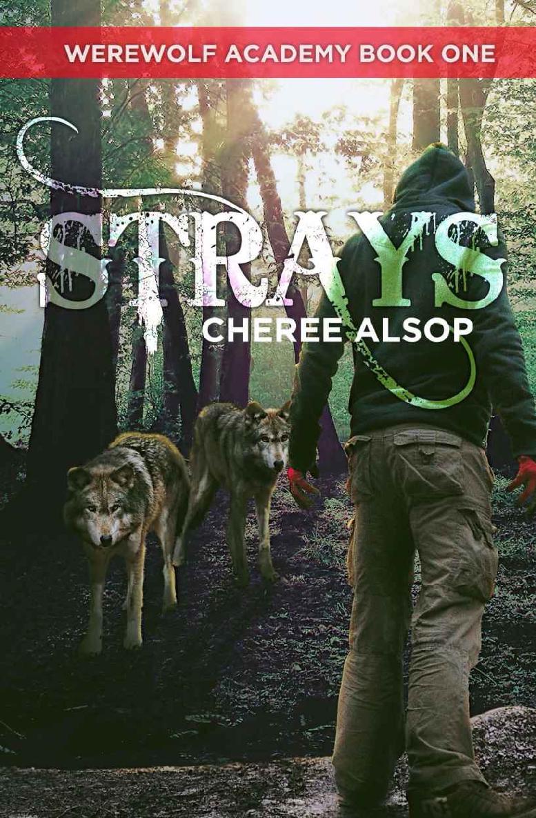 Werewolf Academy Book 1: Strays