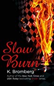 Slow Burn (The Driven Series)