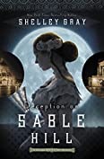 Deception on Sable Hill (The Chicago World&rsquo;s Fair Mystery Series Book 2)