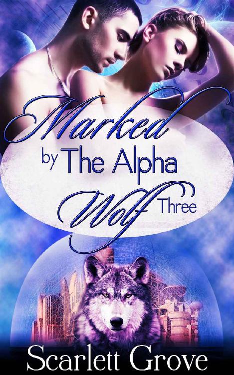 Marked By The Alpha Wolf: Book Three (Braving Darkness 3)