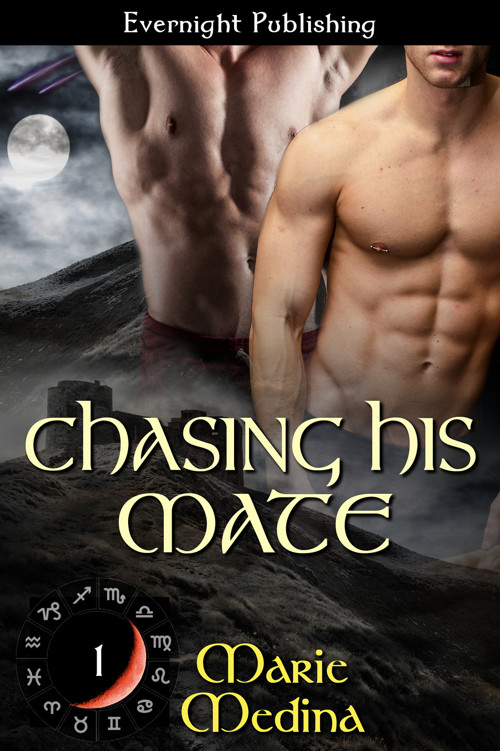 Chasing His Mate (The Year of Moons Book 1)