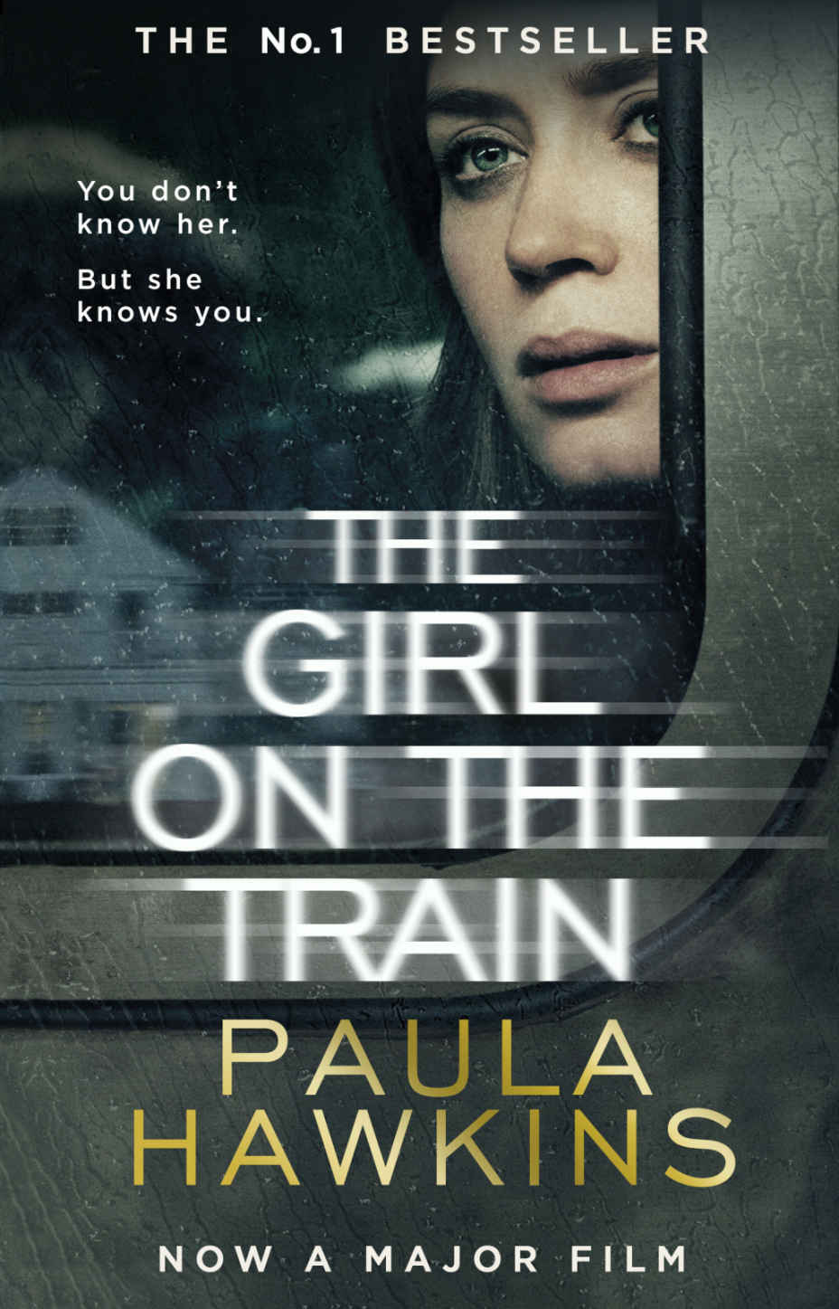 The Girl on the Train: The multi-million-copy global phenomenon