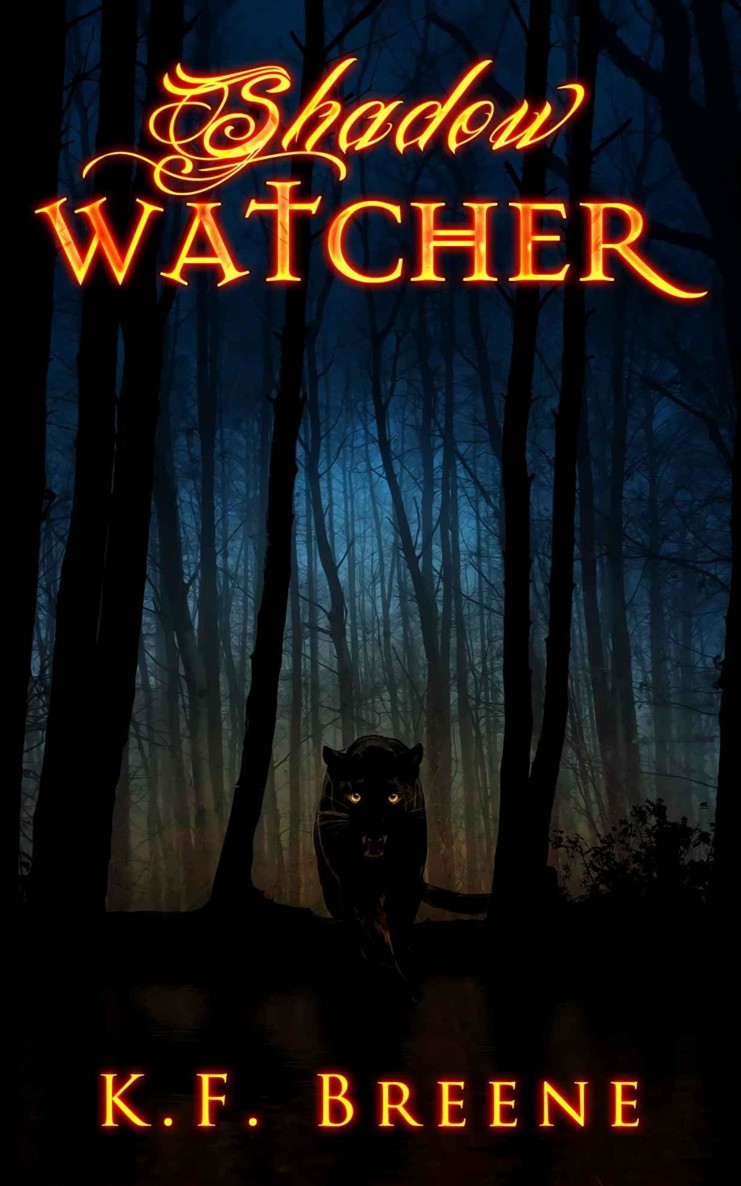 Shadow Watcher (Darkness #6)