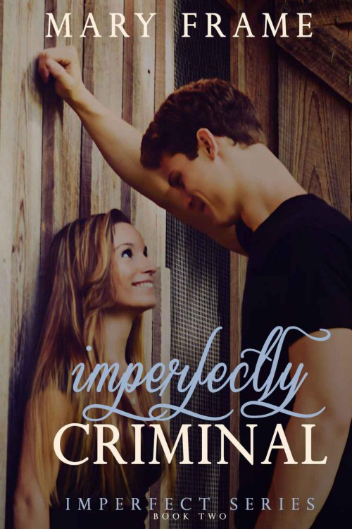 Imperfectly Criminal (Imperfect Series #2)