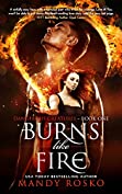Burns Like Fire (Dangerous Creatures Book 1)