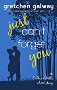 Just Can't Forget You: (Oakland Hills Short Story 2)