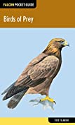 Birds of Prey (Falcon Pocket Guides)