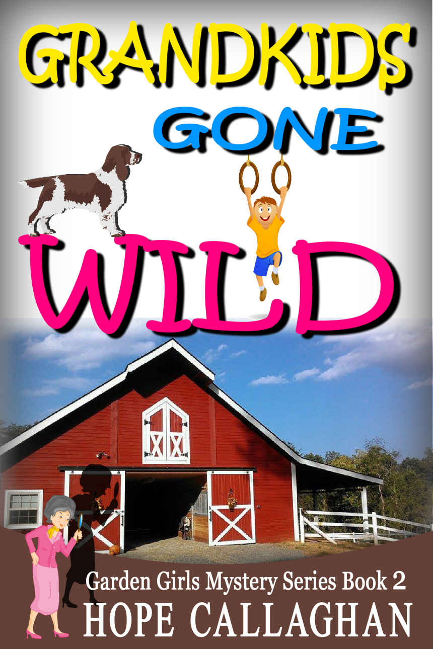 Grandkids Gone Wild (Garden Girls Christian Cozy Mystery Series Book 2)