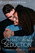 Secret Baby Seduction: BWWM Interracial Romance (A Bundle of Joy Book 4)