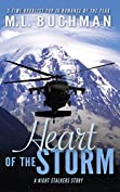 Heart of the Storm (The Night Stalkers Short Stories Book 3)