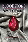 Bloodstone | Power of Youth (The Warstone Quartet Book 3)