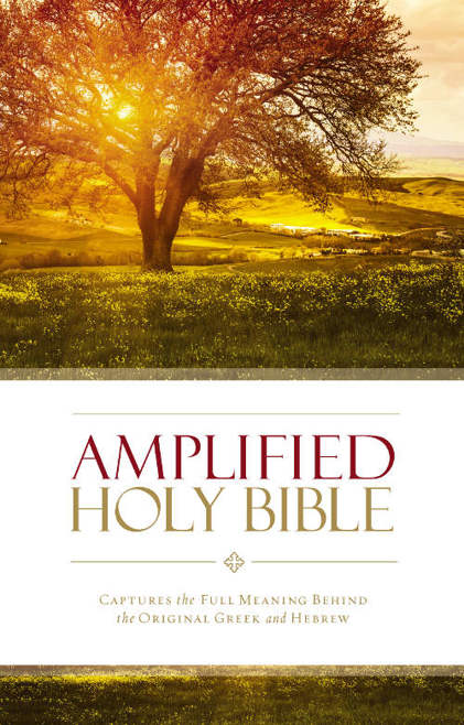 Amplified Holy Bible, eBook: Captures the Full Meaning Behind the Original Greek and Hebrew