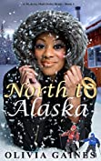 North to Alaska (Modern Mail Order Brides Book 1)