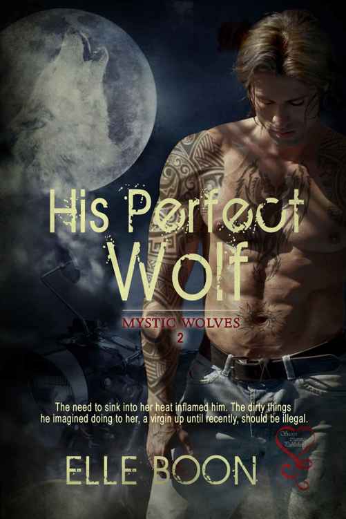 His Perfect Wolf (Mystic Wolves #2)