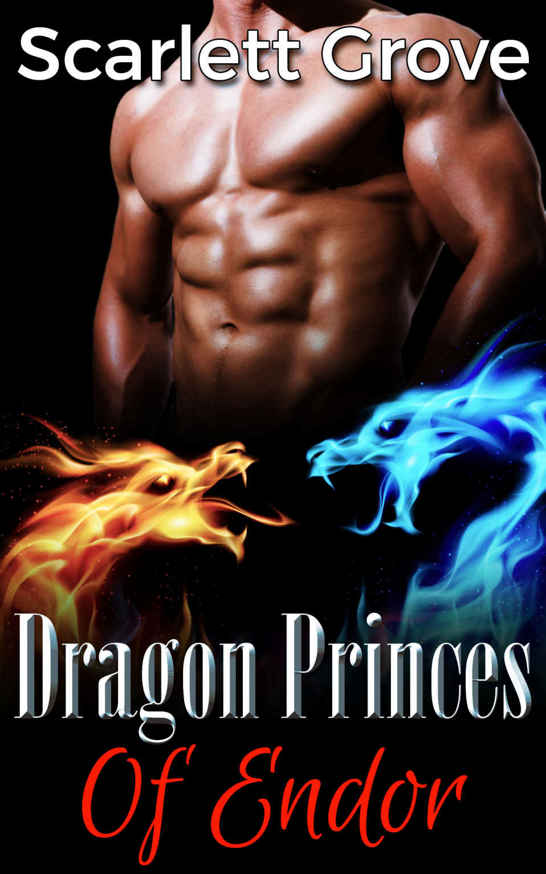 Dragon Princes Of Endor (Dragon Prince Romance)