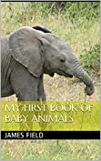 My First Book of Baby Animals