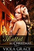 Malled by Christmas (Operation Reindeer Retrieval Book 2)