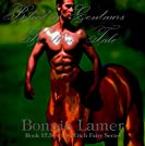 Blood of Centaurs: Kallen's Tale: Book 12.5 of The Witch Fairy Series