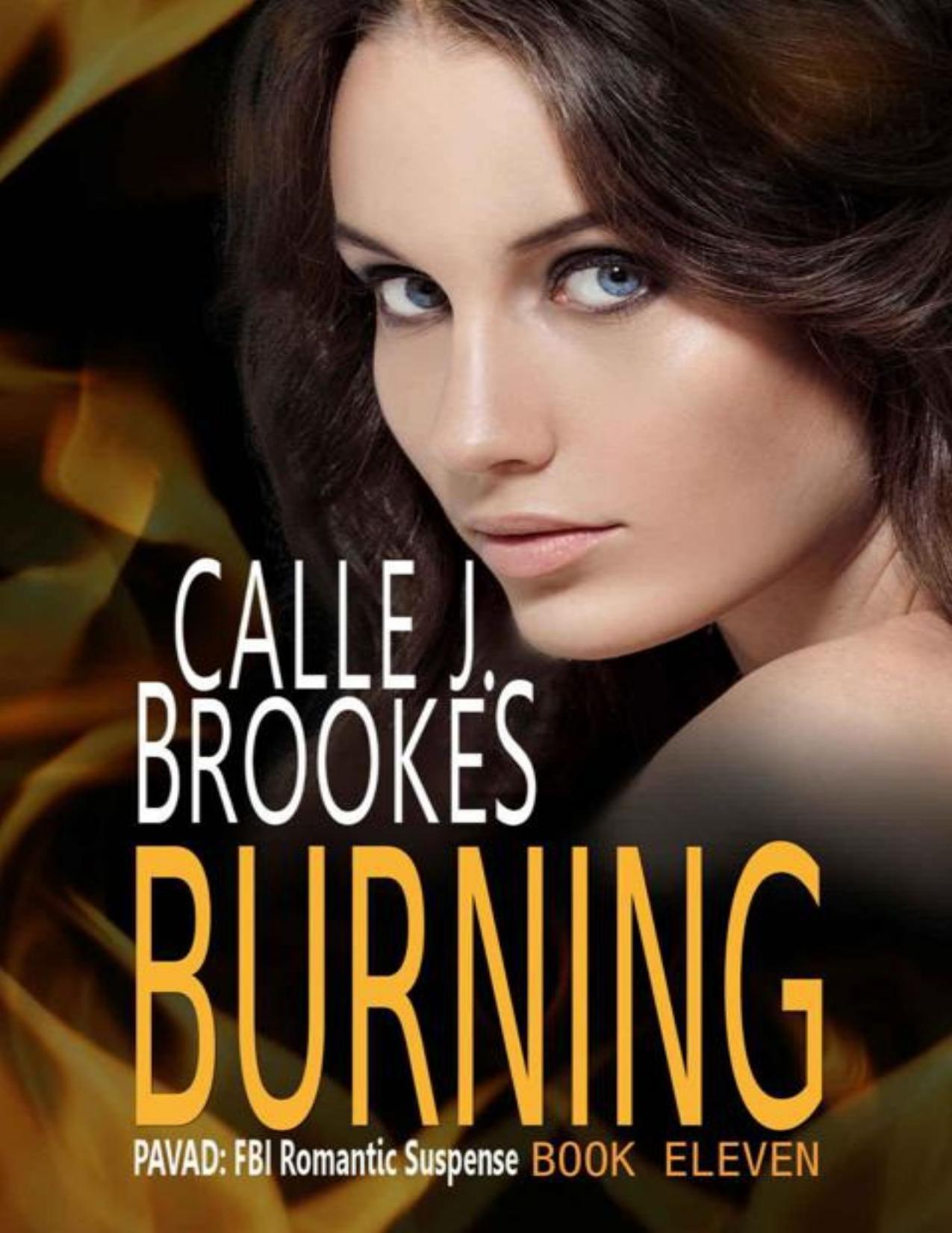Burning (PAVAD: FBI Romantic Suspense Book 11)