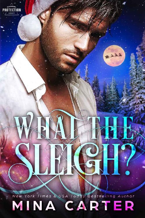 What the Sleigh? (Paranormal Protection Agency Book 8)