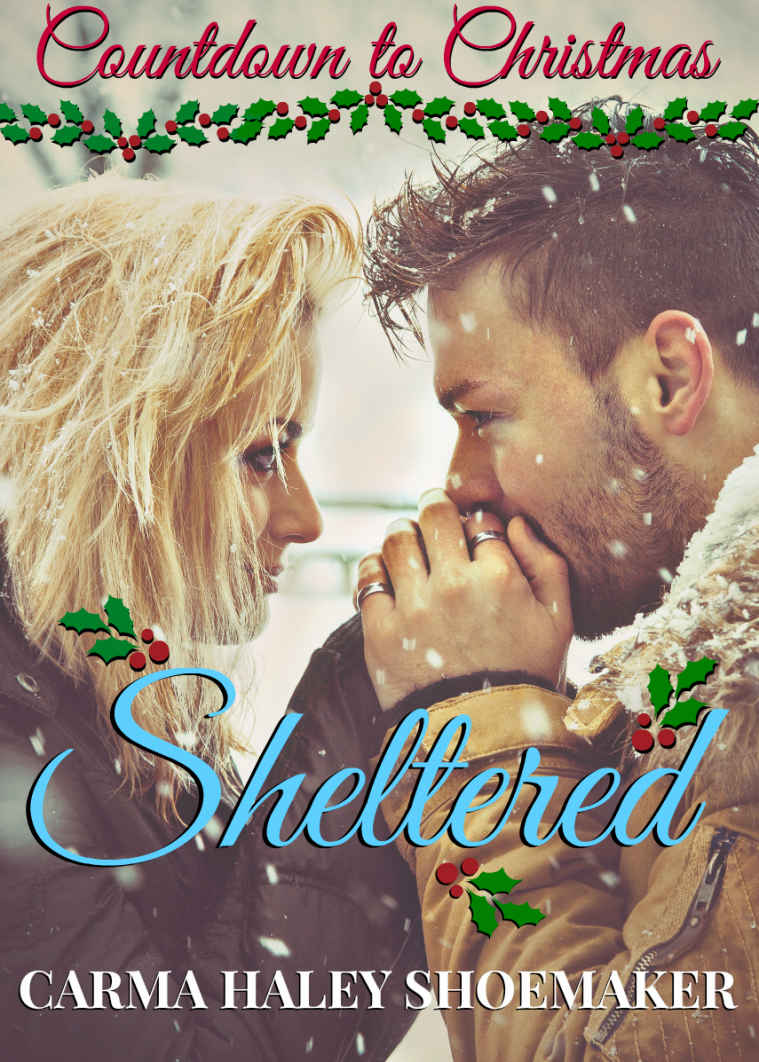 Sheltered (Countdown to Christmas #6)