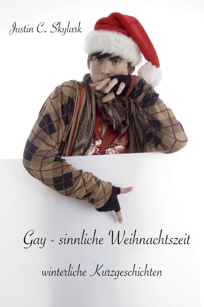 Gay - sinnliche Weihnachtszeit: winterliche Kurzgeschichten (German Edition)