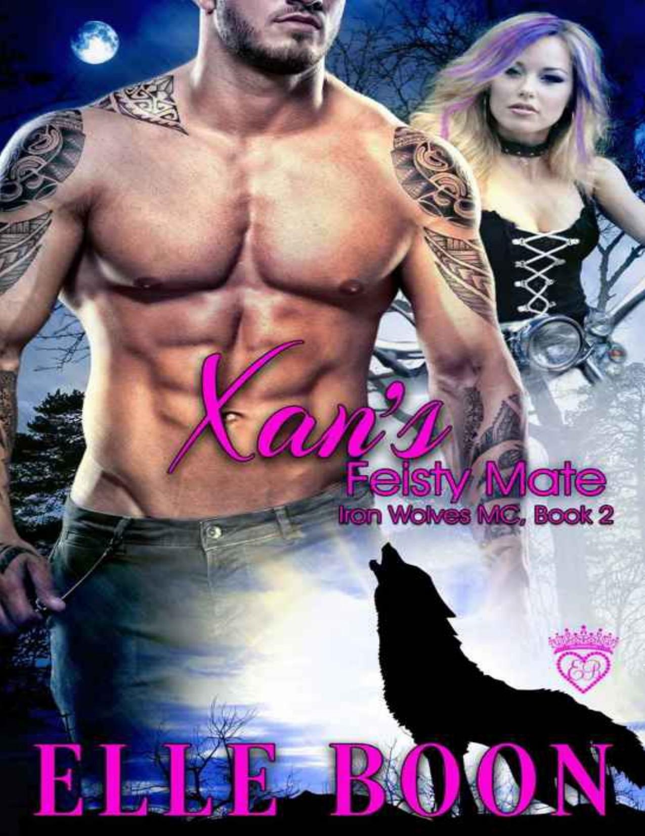 Xan's Feisty Mate, Iron Wolves MC 2