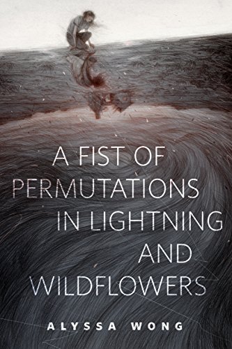 A Fist of Permutations in Lightning and Wildflowers: A Tor.Com Original