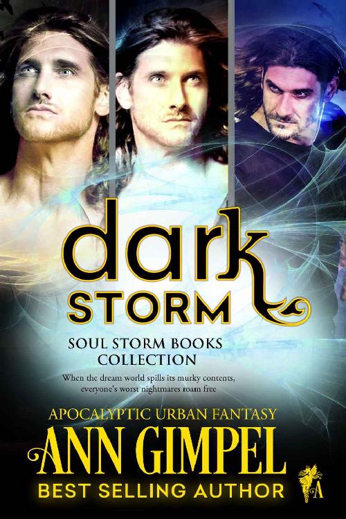 Dark Storm: Soul Storm Books Collection