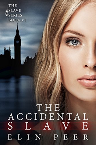 The Accidental Slave (Aya's story) (The Slave Series Book 1)