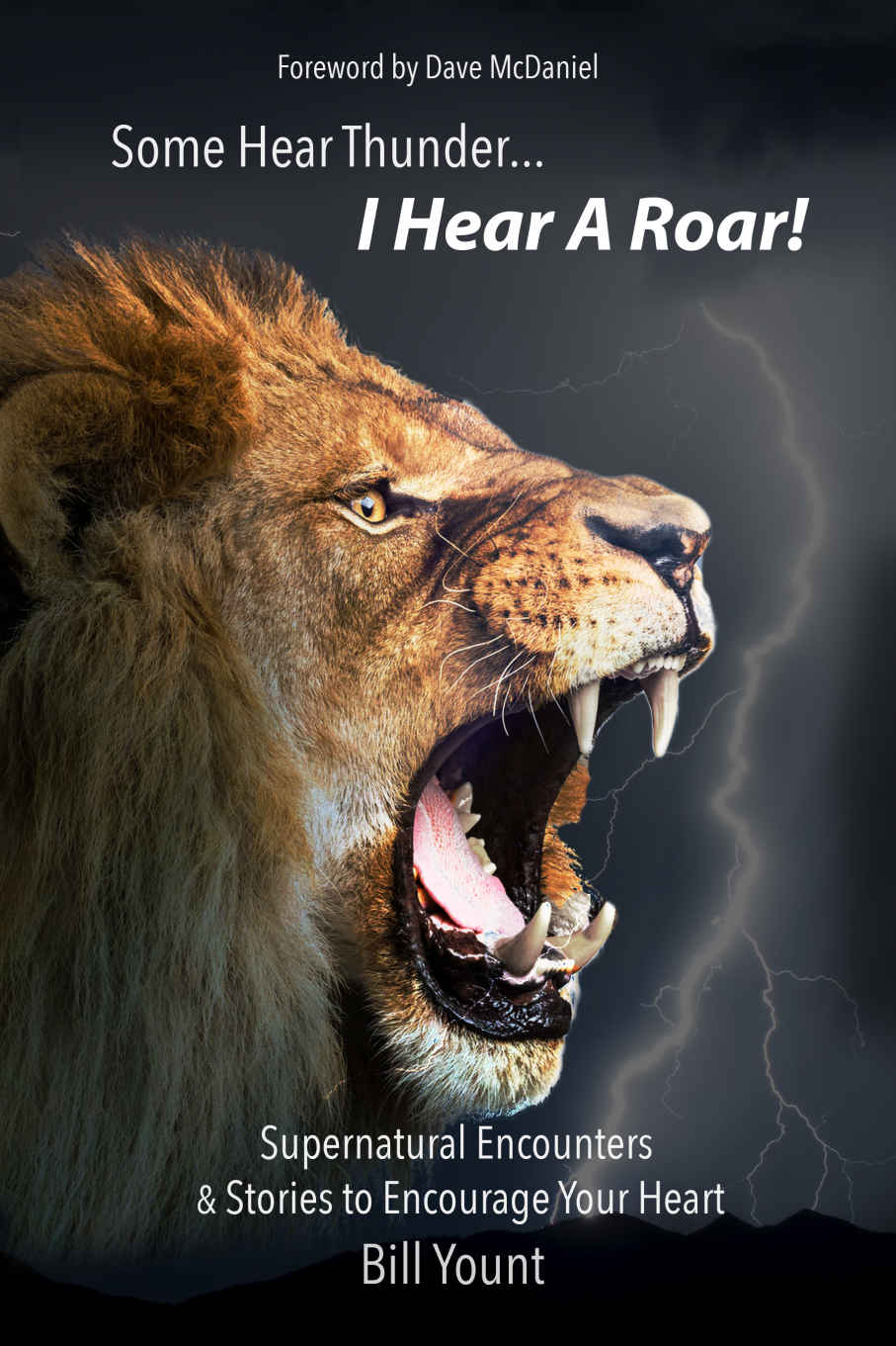 Some Hear Thunder... I Hear a Roar!: Supernatural Encounters & Stories to Encourage Your Heart