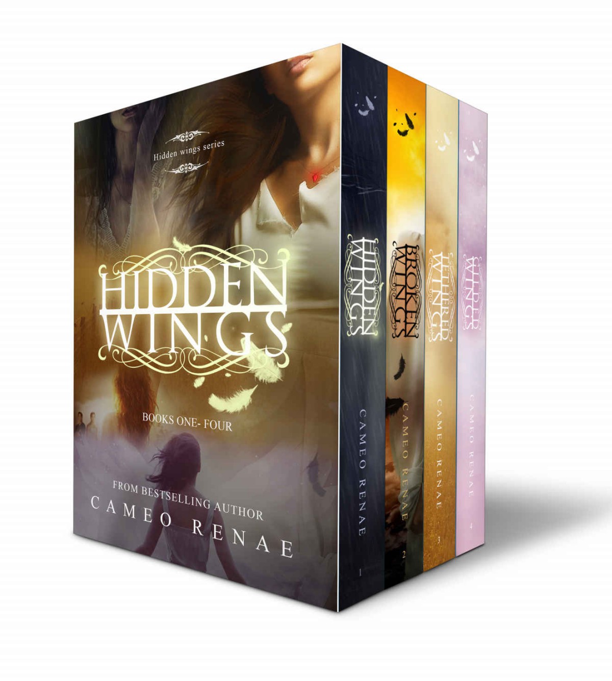 Hidden Wings Box Set - Books 1-4 with BONUS Novella: Hidden Wings Series Collection