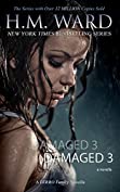 DAMAGED 3 : A Damaged Wedding (The Ferro Family Book 28)