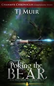 Poking the Bear: Some Days Magic Just Doesn't Pay (The Chanmyr Chronicles)