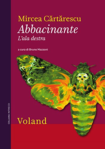 Abbacinante. L'ala destra (Italian Edition)