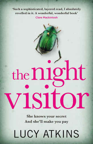 The Night Visitor: the gripping suspenseful thriller