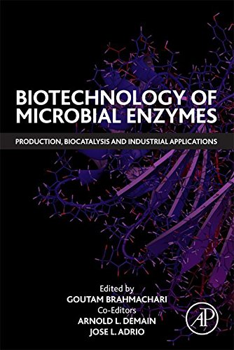 Biotechnology of Microbial Enzymes: Production, Biocatalysis and Industrial Applications