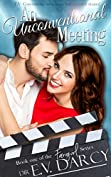 An Unconventional Meeting (The Fangirl Series Book 1)