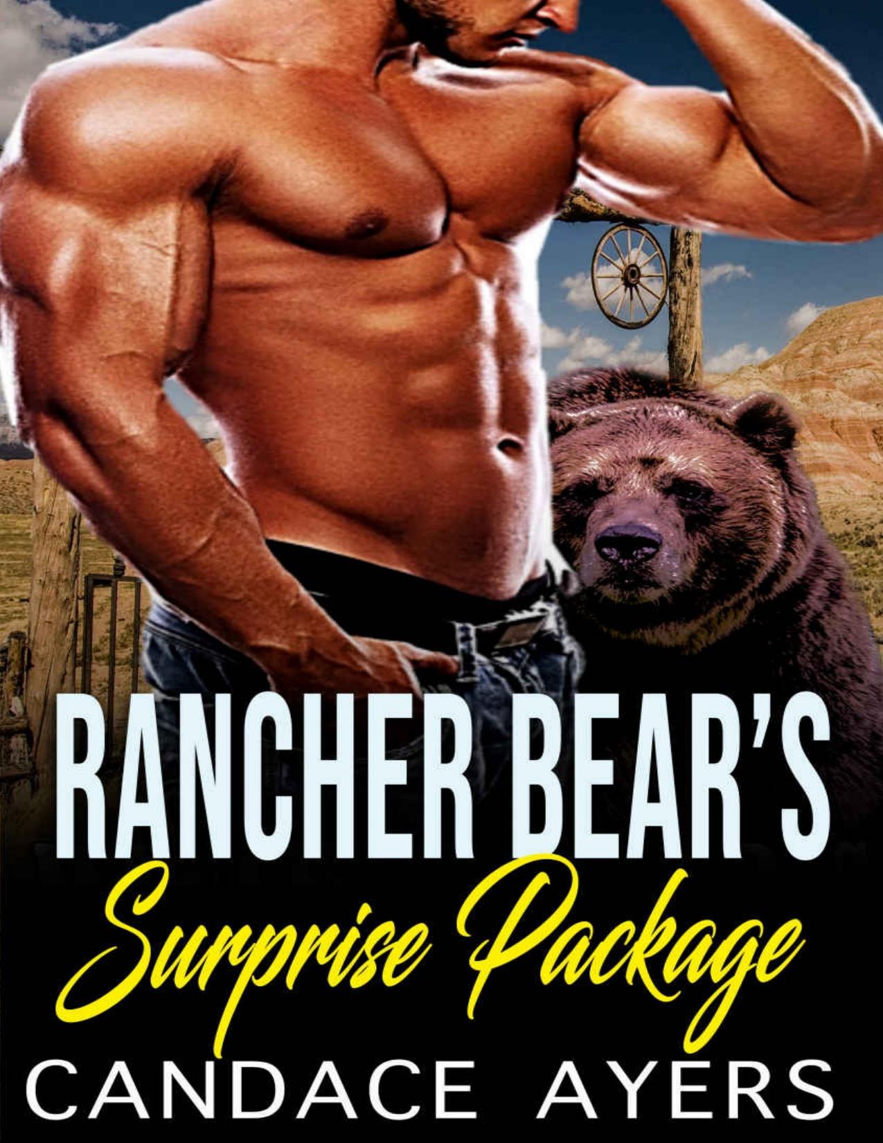 Rancher Bear's Surprise Package: Shifter Romance (Rancher Bears Series Book 3)