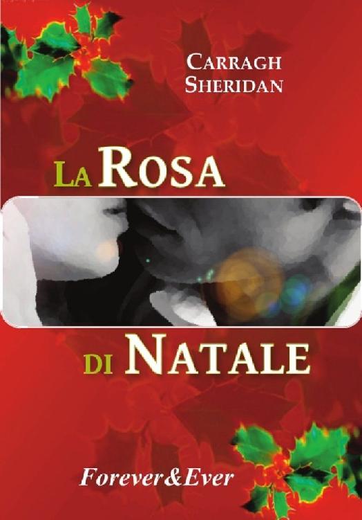 La Rosa di Natale