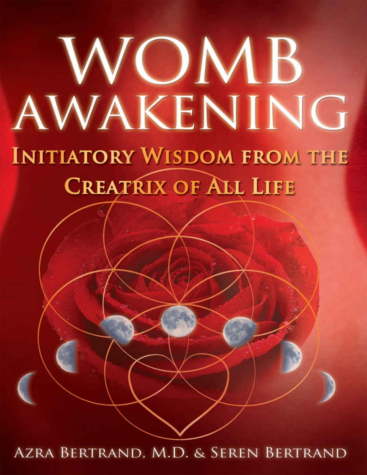 Womb Awakening: Initiatory Wisdom from the Creatrix of All Life