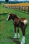 Bubba and the Chocolate Farm: Book One: Carriage Horse to Show Horse