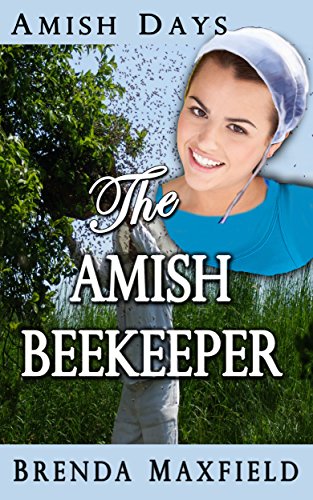 The Amish Beekeeper (Rhoda's Story Book 1)