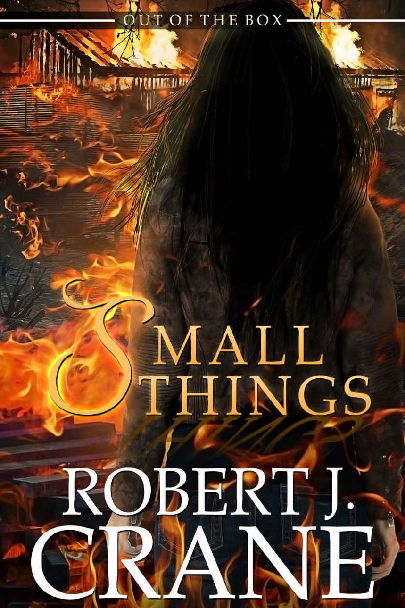 Small Things: Out of the Box (The Girl in the Box Book 24)