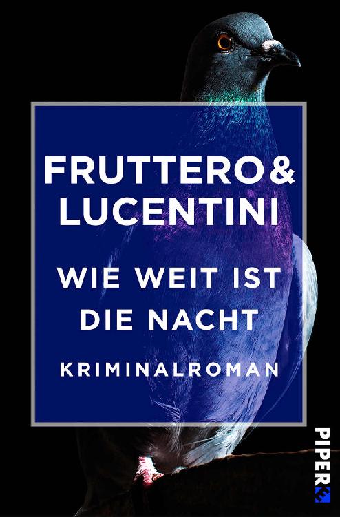 Wie weit ist die Nacht: Roman (German Edition)