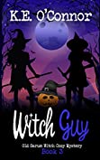 Witch Guy (Old Sarum Cozy Witch Mystery Book 3)