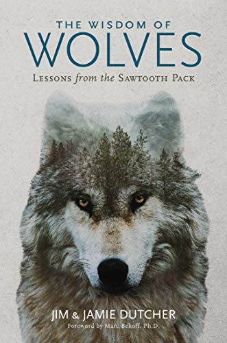 The Wisdom of Wolves: Lessons From the Sawtooth Pack